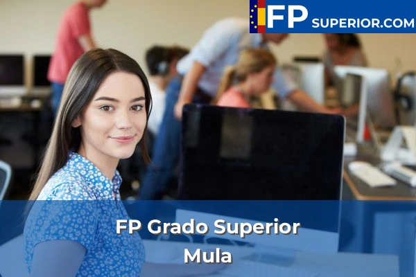 FP Grado Superior en Mula